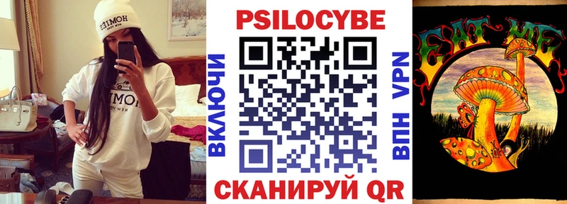 ссылка на мегу зеркало Тогучин Псилоцибиновые грибы Psilocybe